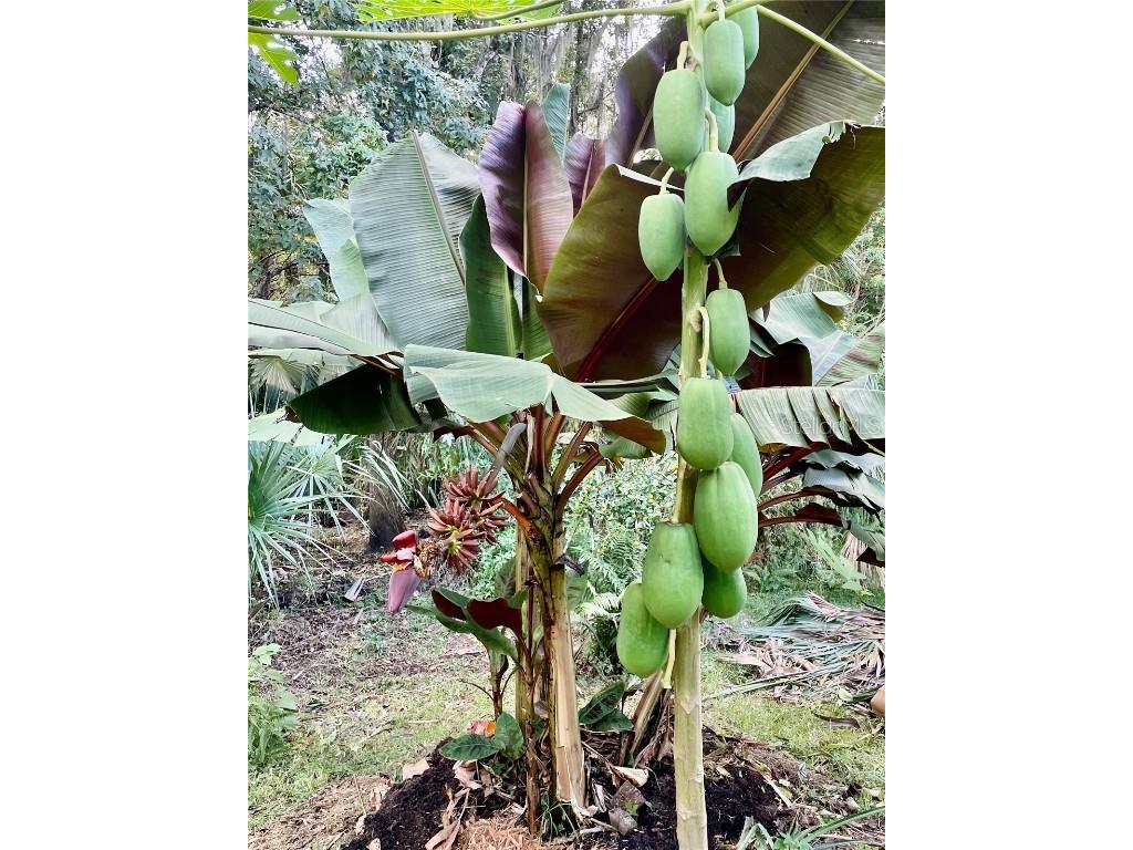 2111 Rocky Bluff Court Oviedo FL 32765 O6341387 image36