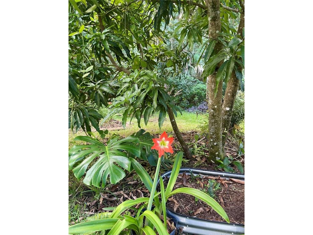 2111 Rocky Bluff Court Oviedo FL 32765 O6341387 image38