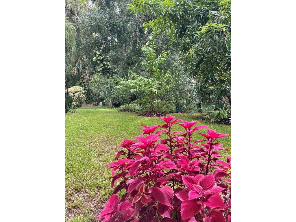 2111 Rocky Bluff Court Oviedo FL 32765 O6341387 image39