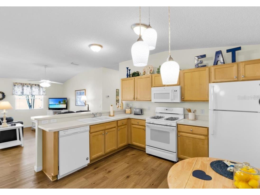 2111 Thornton Terrace The Villages FL 32162 G5098641 image3