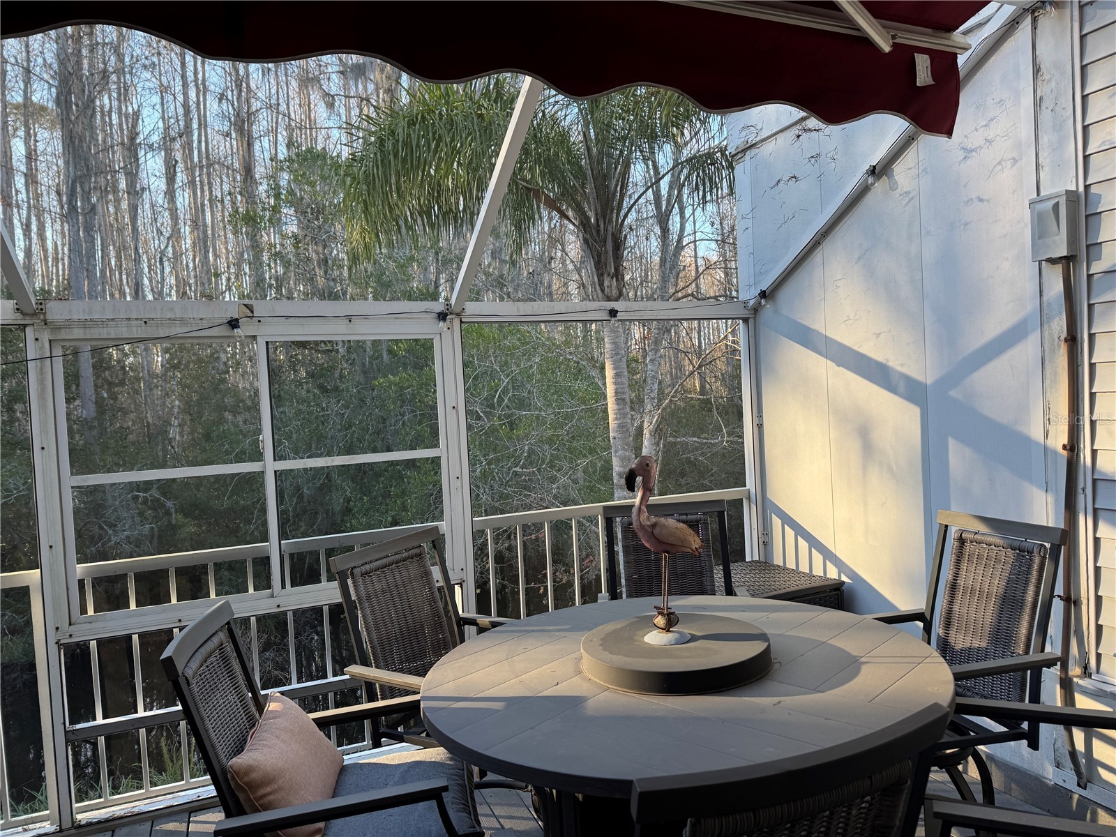 2111 Vista Del Sol Circle #403 Lutz FL 33558 W7882590 image8