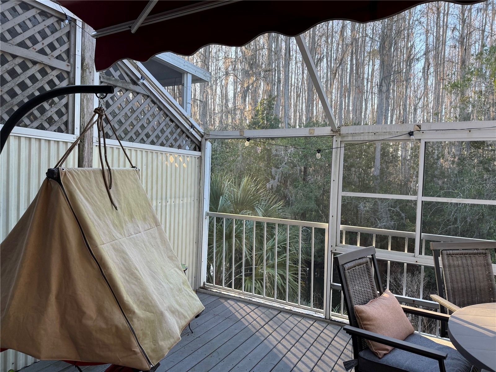 2111 Vista Del Sol Circle #403 Lutz FL 33558 W7882590 image9