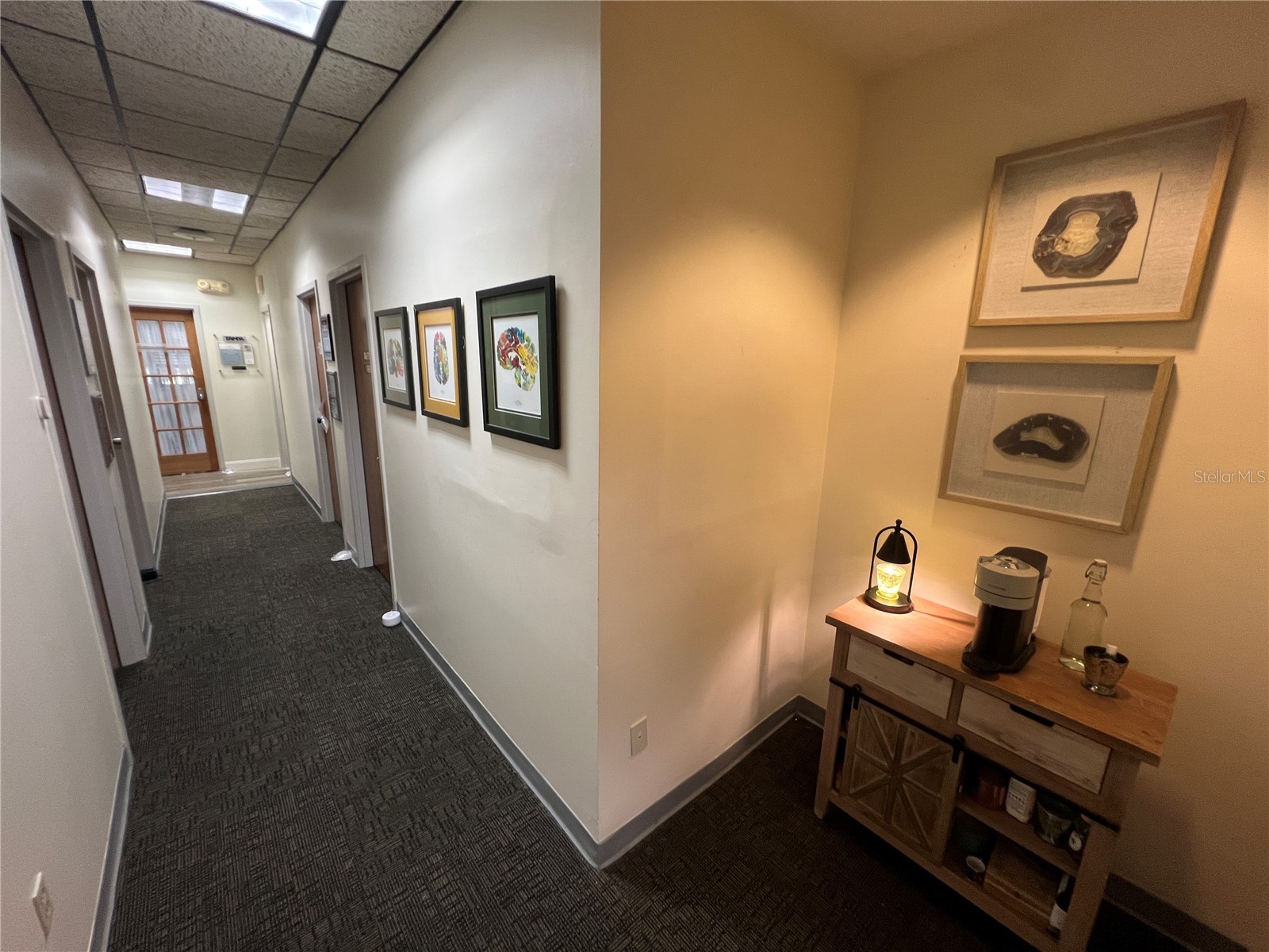 2111 W Swann Avenue Tampa FL 33606 T3485058 image23