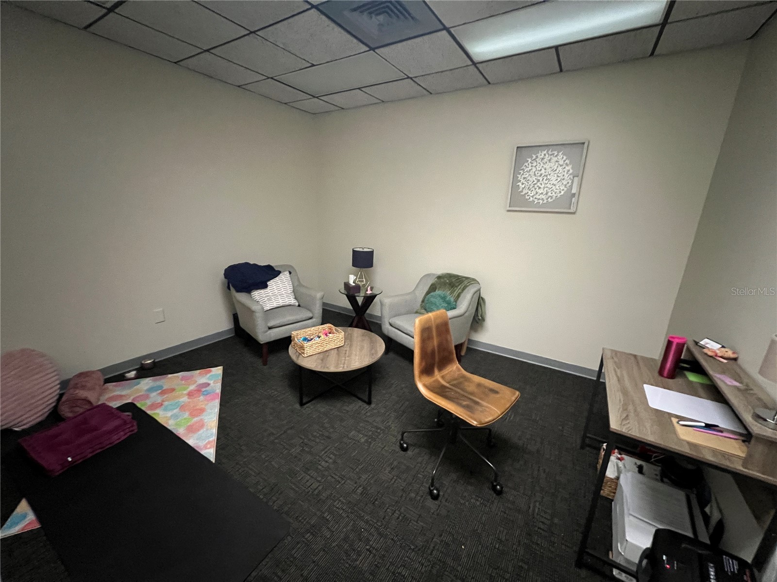 2111 W Swann Avenue Tampa FL 33606 T3485058 image24