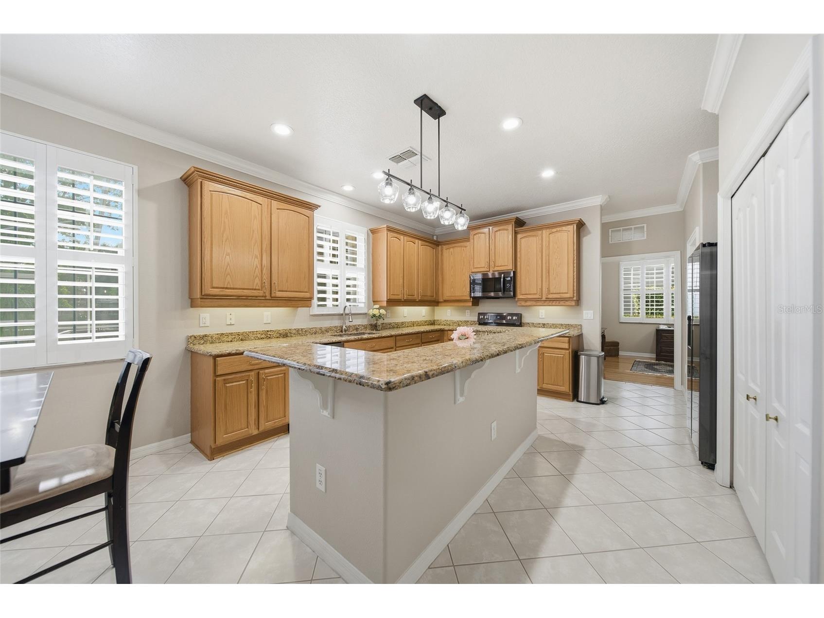 21115 Preservation Drive Land O Lakes FL 34638 - WHITE IBIS LAKE TB8508246 image14