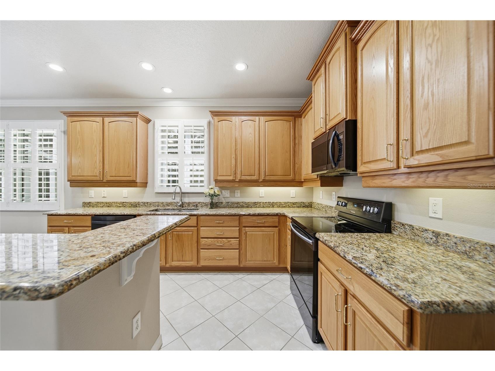 21115 Preservation Drive Land O Lakes FL 34638 - WHITE IBIS LAKE TB8508246 image15