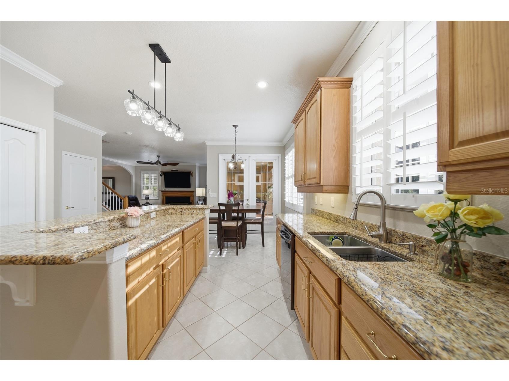 21115 Preservation Drive Land O Lakes FL 34638 - WHITE IBIS LAKE TB8508246 image16