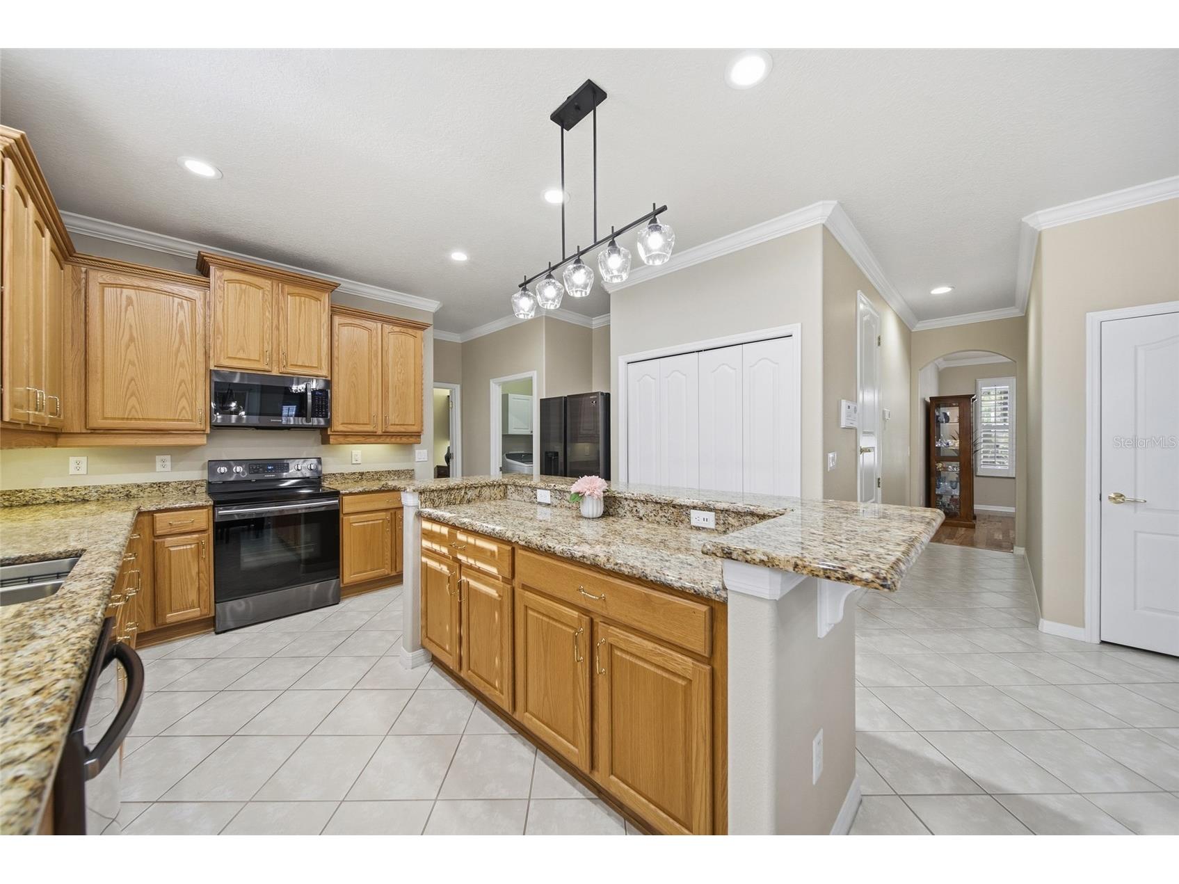 21115 Preservation Drive Land O Lakes FL 34638 - WHITE IBIS LAKE TB8508246 image18