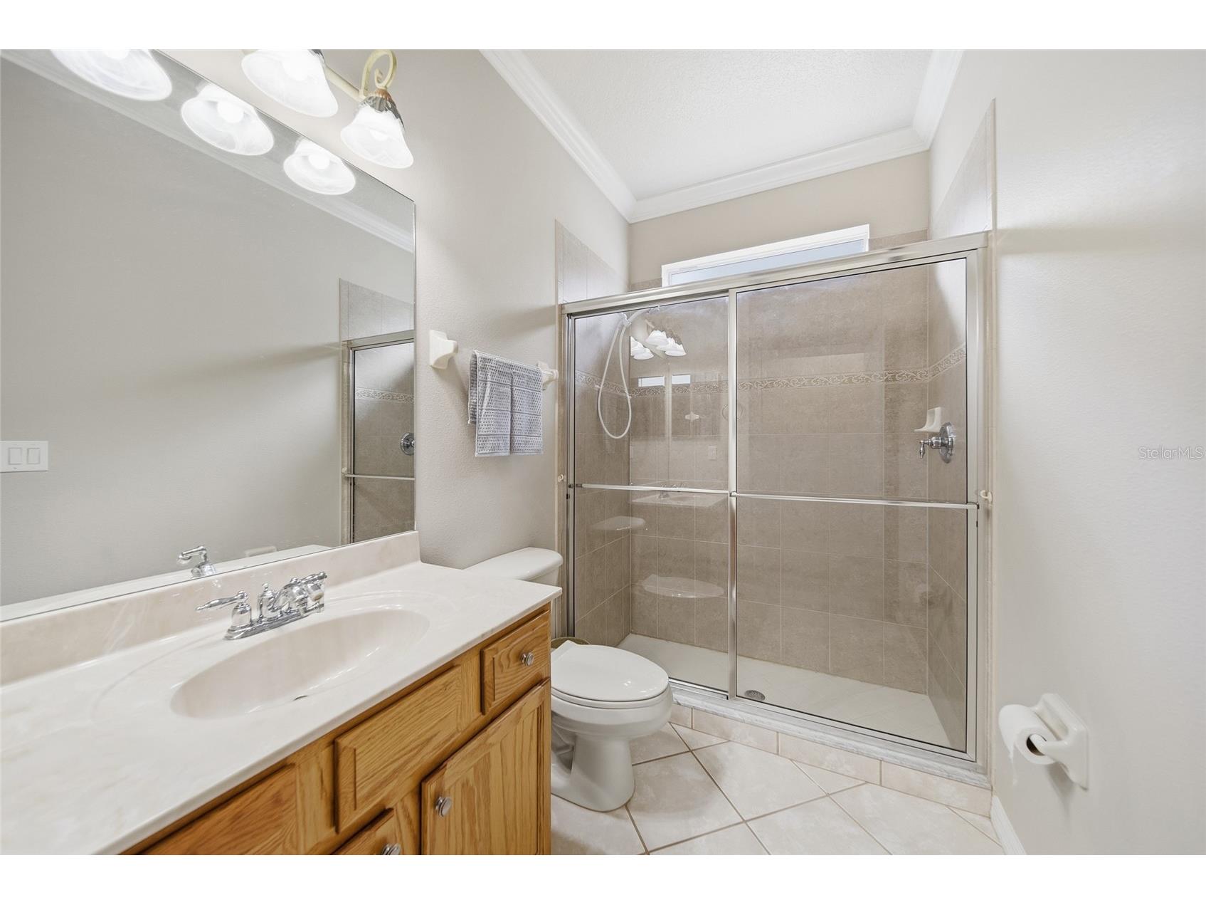 21115 Preservation Drive Land O Lakes FL 34638 - WHITE IBIS LAKE TB8508246 image21