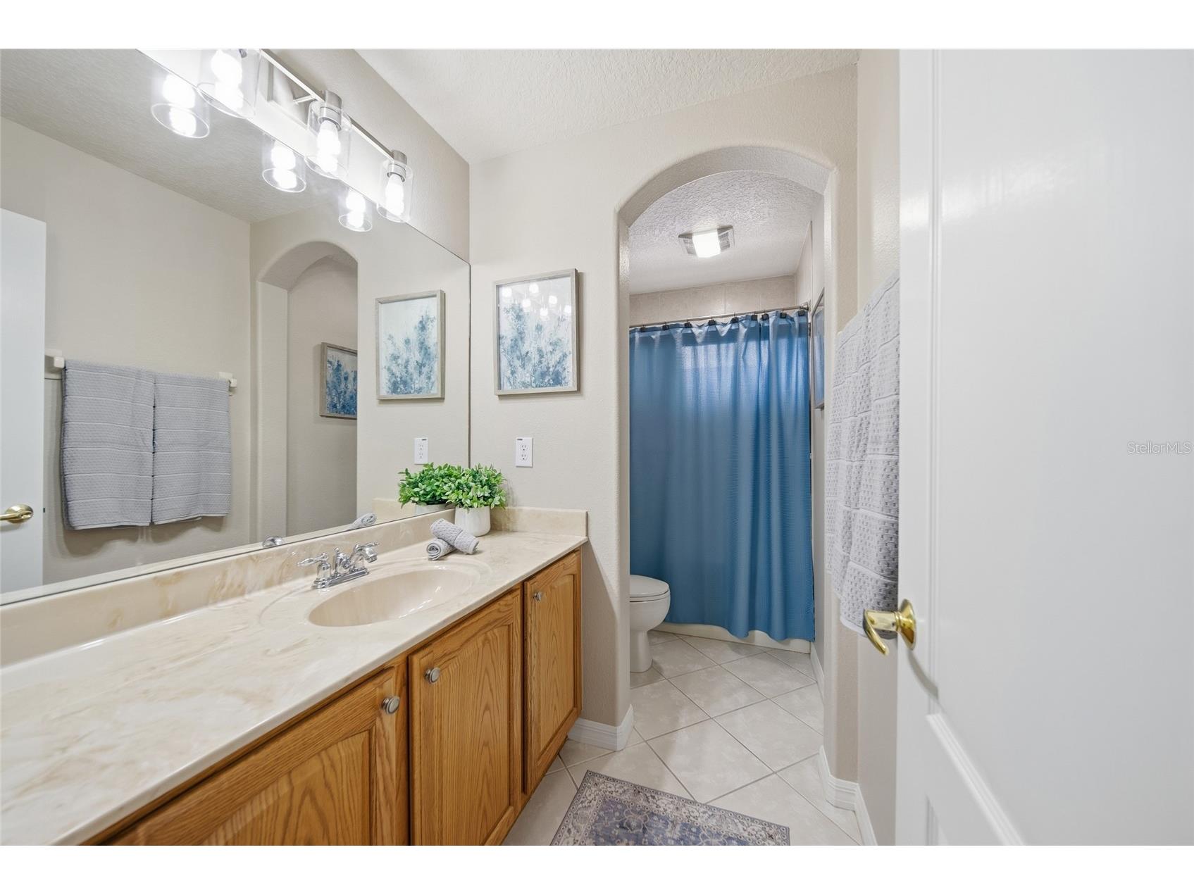 21115 Preservation Drive Land O Lakes FL 34638 - WHITE IBIS LAKE TB8508246 image34