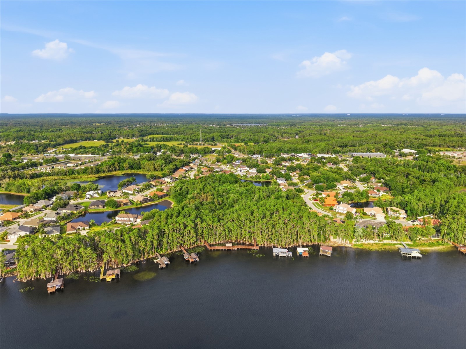 21115 Preservation Drive Land O Lakes FL 34638 - WHITE IBIS LAKE TB8508246 image58