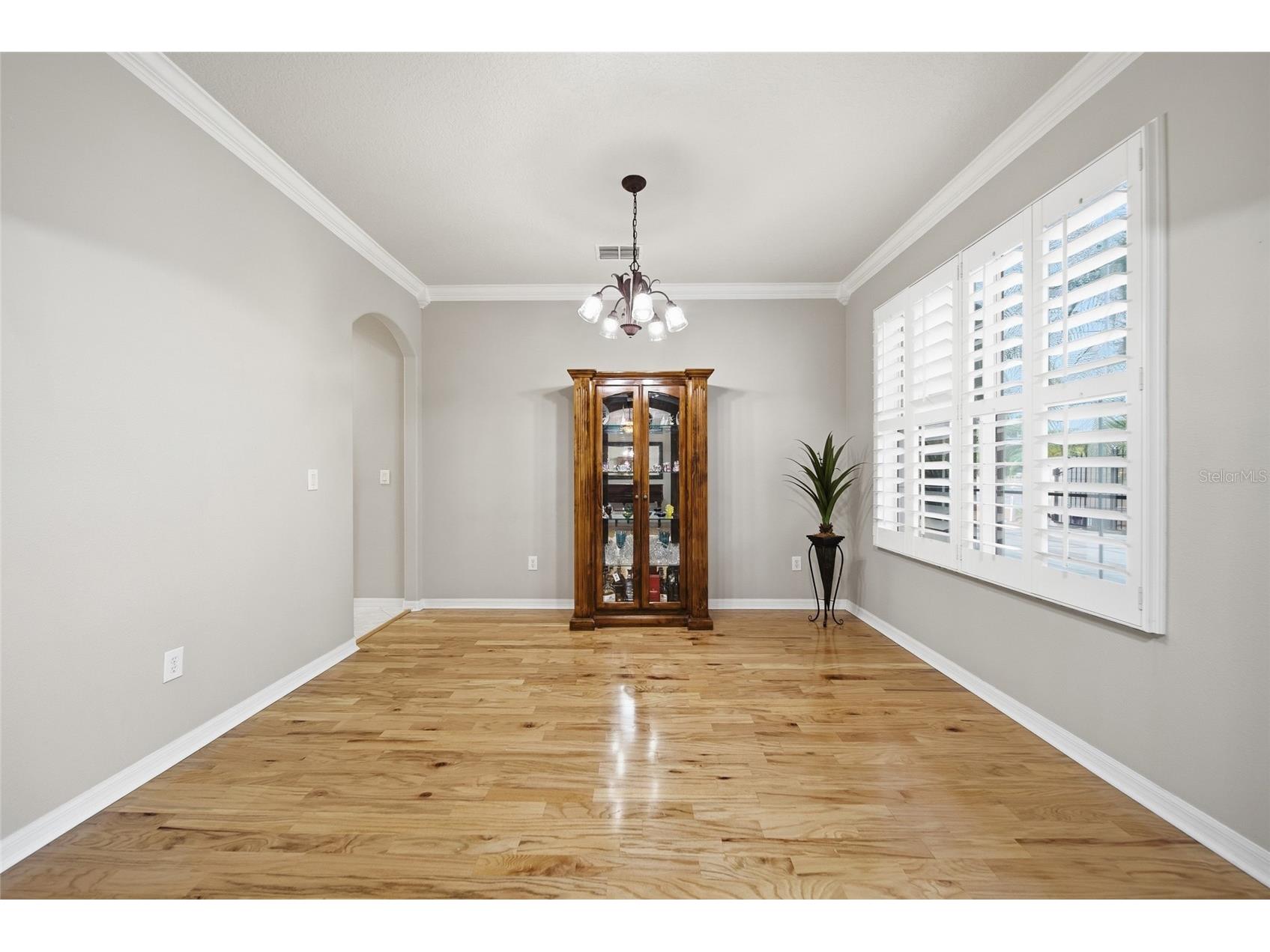 21115 Preservation Drive Land O Lakes FL 34638 - WHITE IBIS LAKE TB8508246 image7