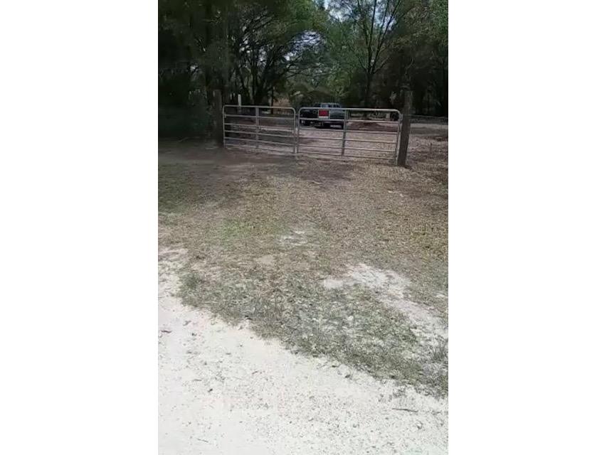 21116 Pribil Avenue Spring Hill FL 34610 T3427314 image1