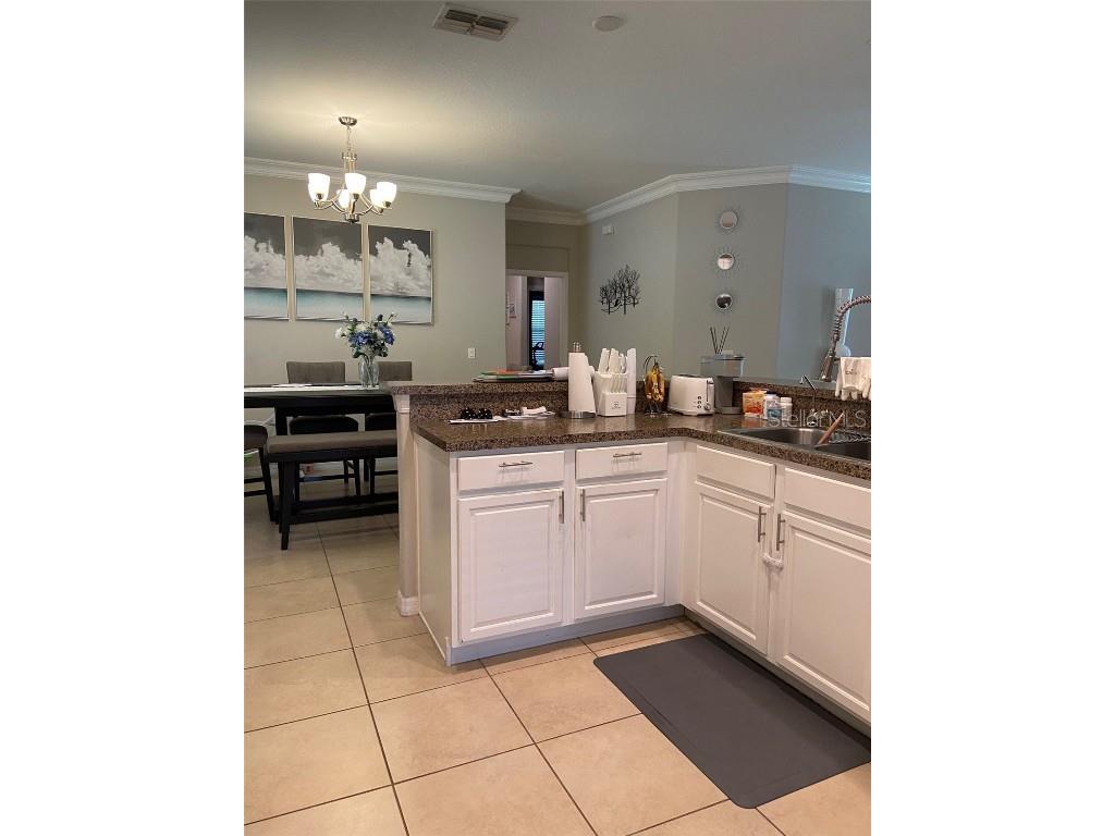 21118 Passive Porch Drive Land O Lakes FL 34637 W7869176 image20