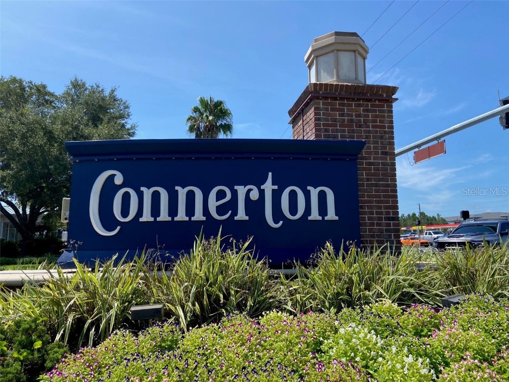 21118 Passive Porch Drive Land O Lakes FL 34637 W7869176 image30