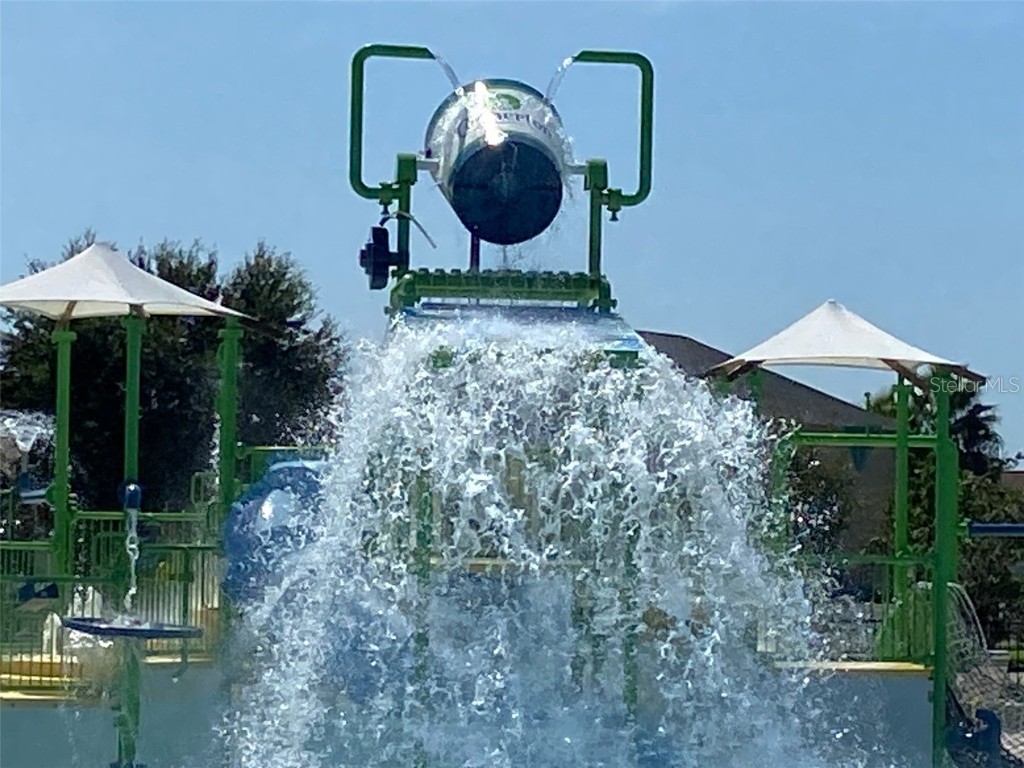 21118 Passive Porch Drive Land O Lakes FL 34637 W7869176 image35