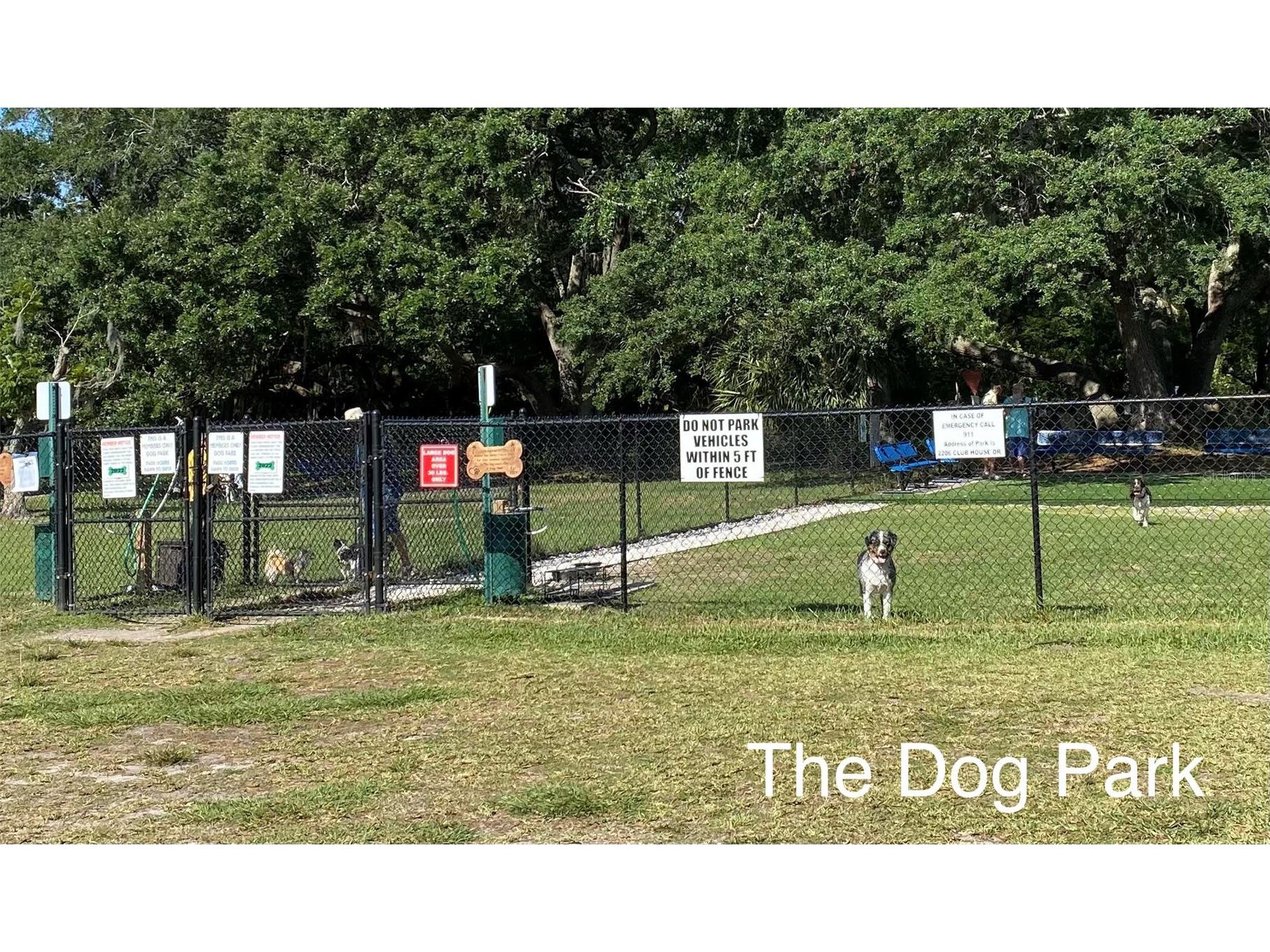 2112 Acadia Greens Drive #62 Sun City Center FL 33573 TB8481089 image60