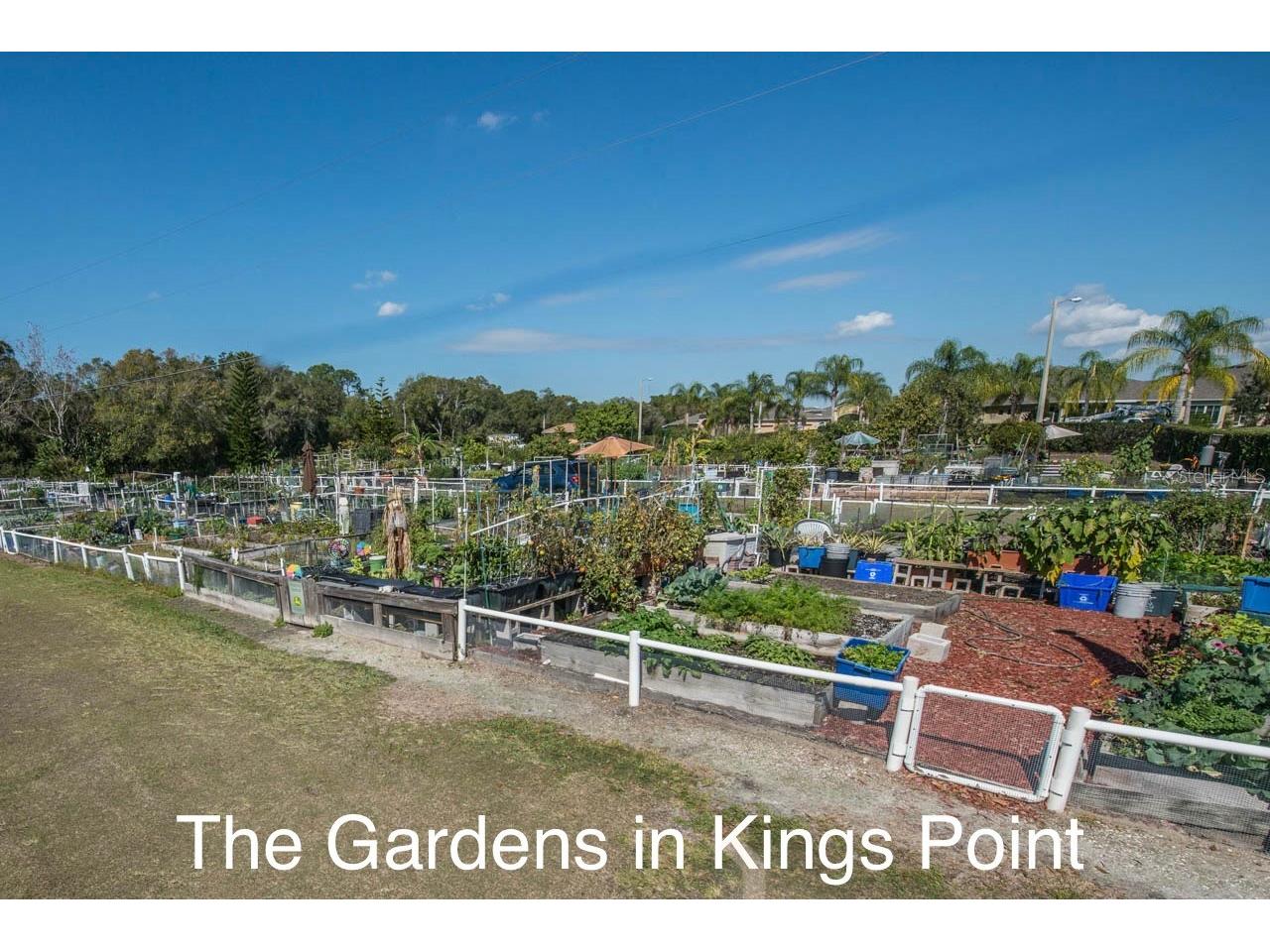 2112 Acadia Greens Drive #62 Sun City Center FL 33573 TB8481089 image89