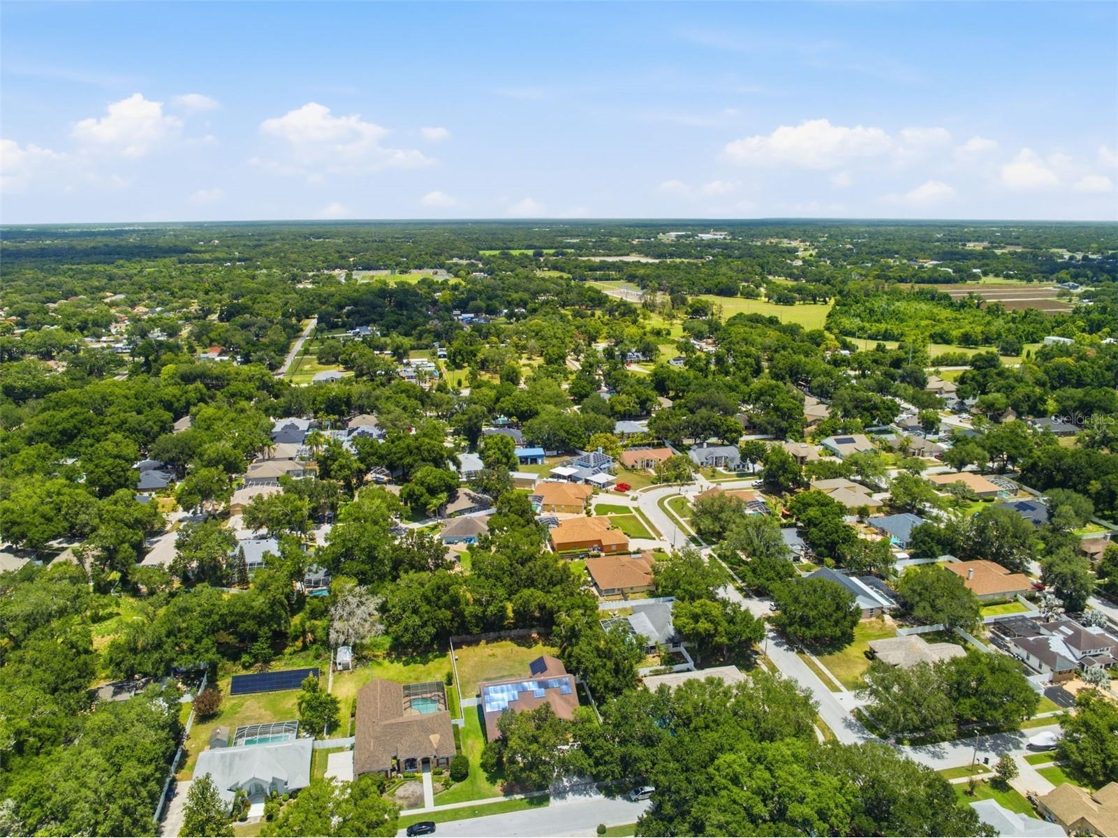 2112 Heritage Crest Drive Valrico FL 33594 TB8514483 image51