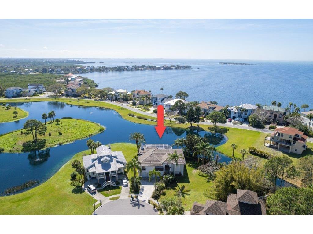 2112 Sandpiper Pointe Court Tarpon Springs FL 34689 W7852984 image1
