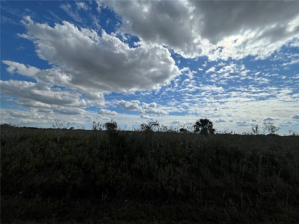 21126 NW 282nd Street Okeechobee FL 34972 OK223769 image1