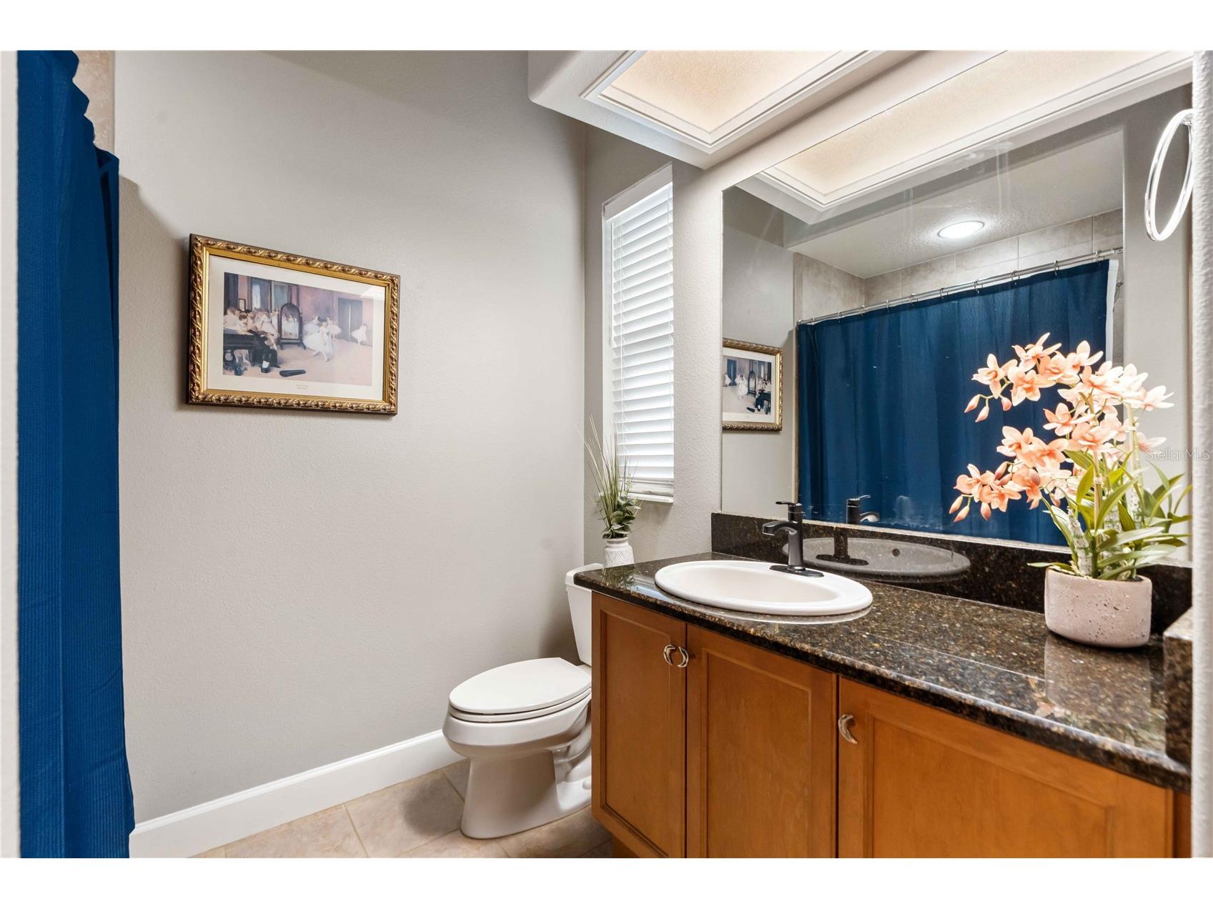 21127 Lake Vienna Drive Land O Lakes FL 34638 W7887255 image37