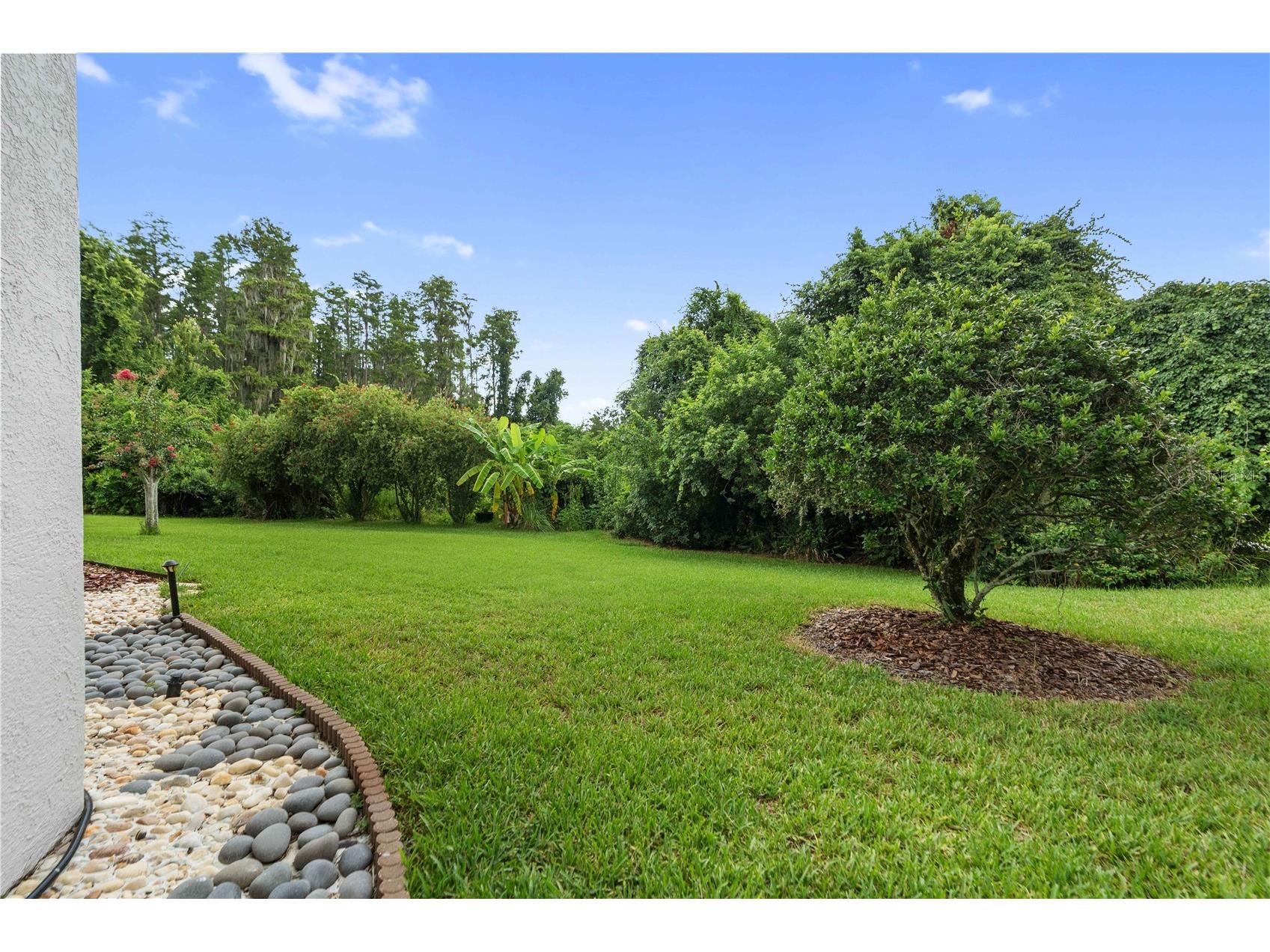 21127 Lake Vienna Drive Land O Lakes FL 34638 W7887255 image60