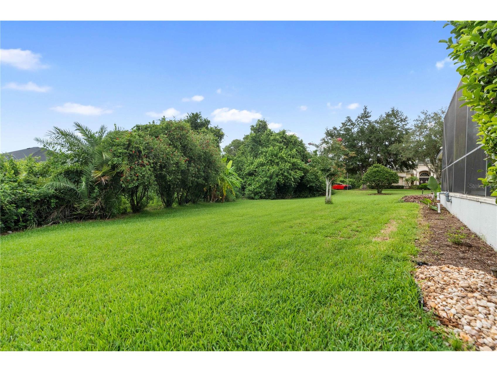 21127 Lake Vienna Drive Land O Lakes FL 34638 W7887255 image62