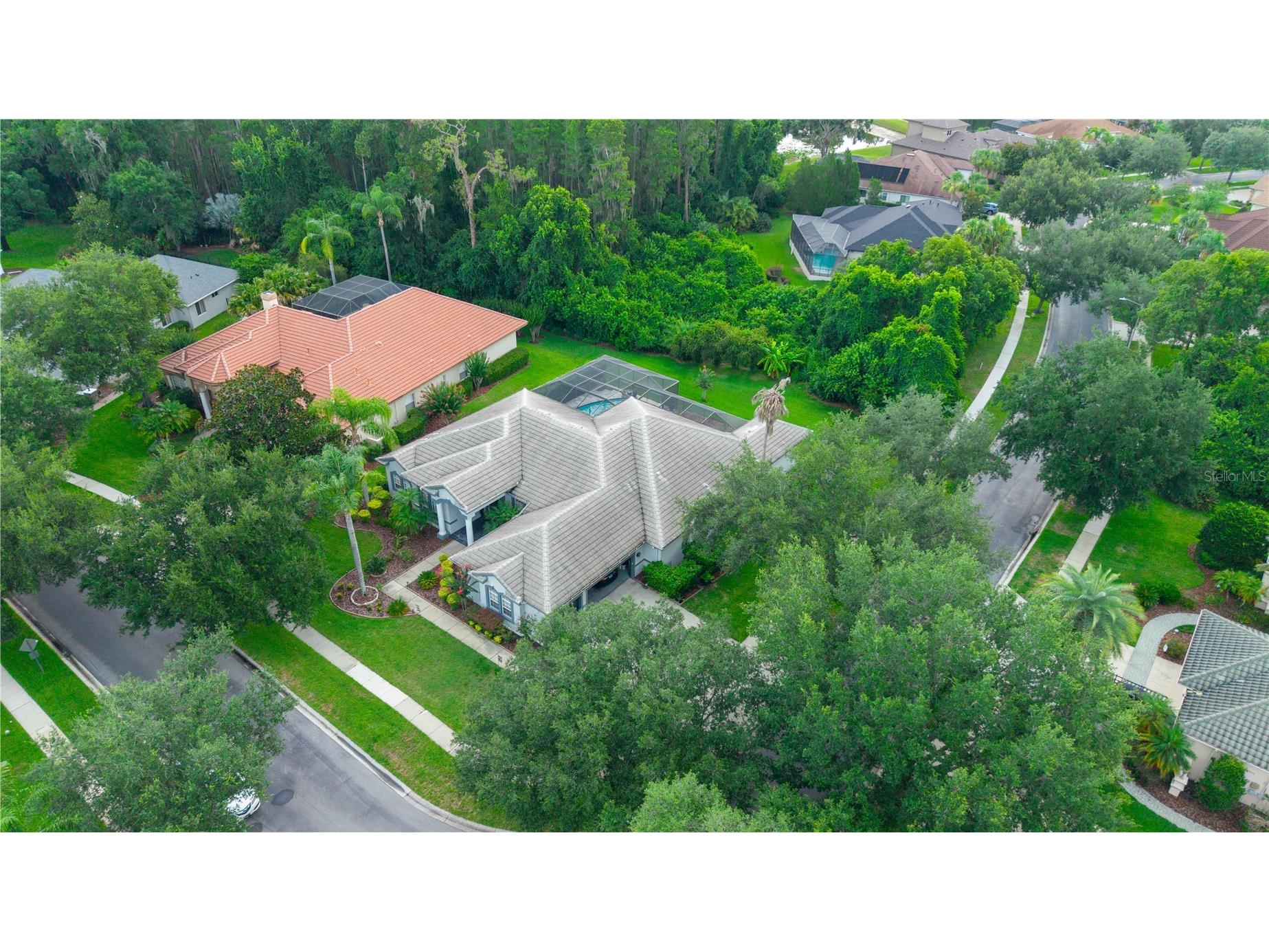 21127 Lake Vienna Drive Land O Lakes FL 34638 W7887255 image65