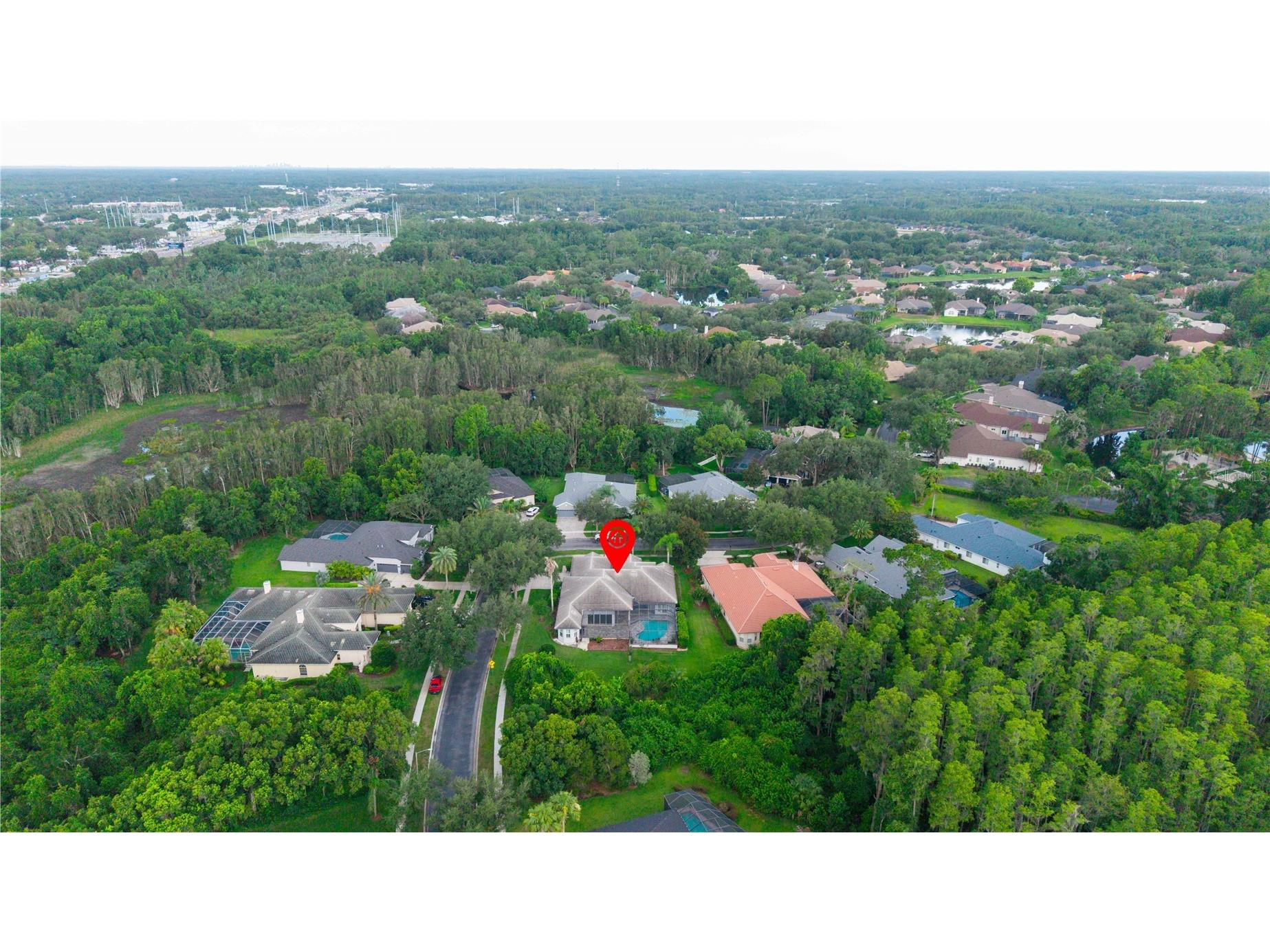 21127 Lake Vienna Drive Land O Lakes FL 34638 W7887255 image68