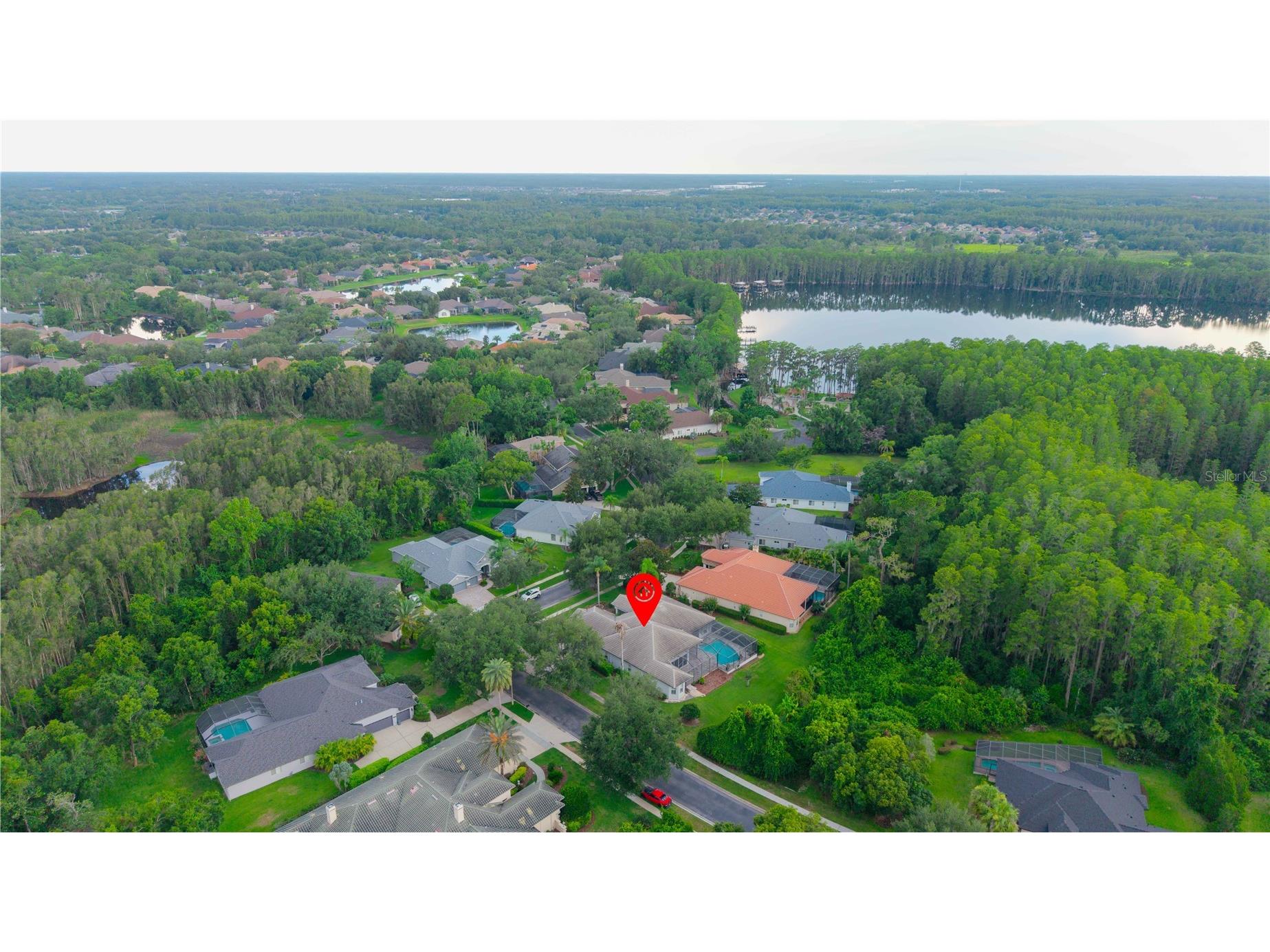 21127 Lake Vienna Drive Land O Lakes FL 34638 W7887255 image69