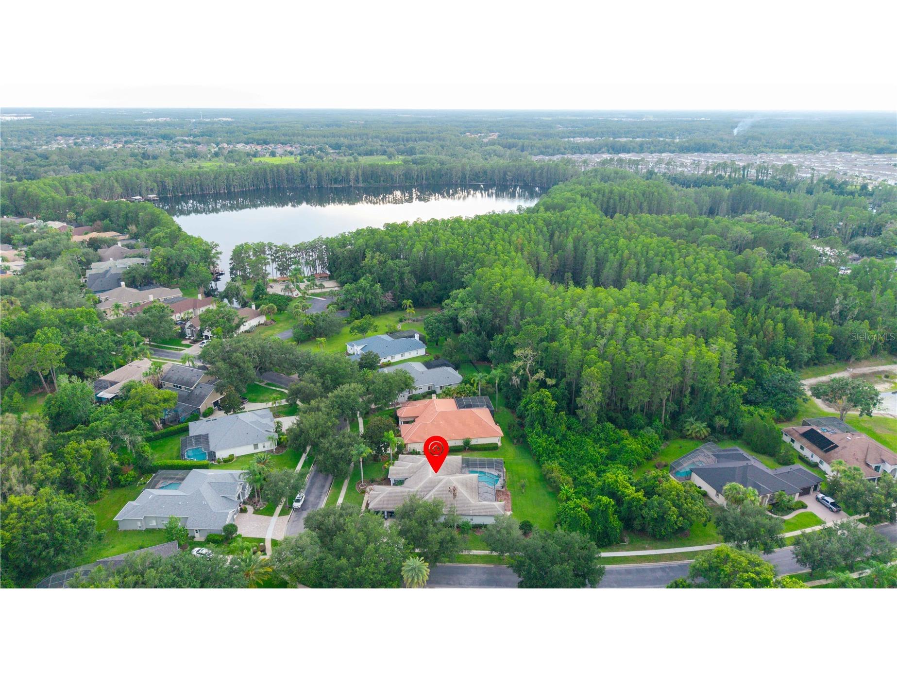 21127 Lake Vienna Drive Land O Lakes FL 34638 W7887255 image70