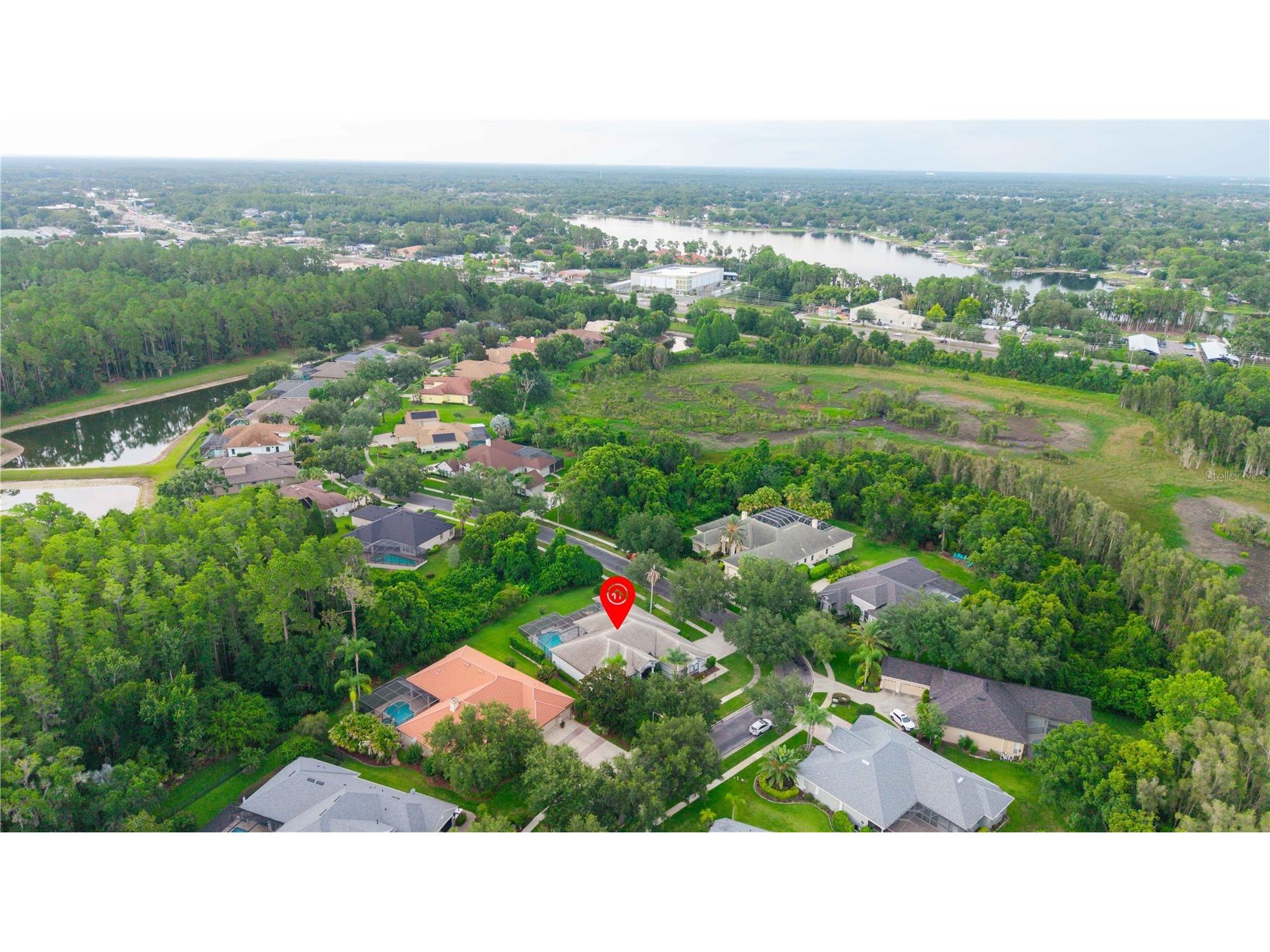 21127 Lake Vienna Drive Land O Lakes FL 34638 W7887255 image71