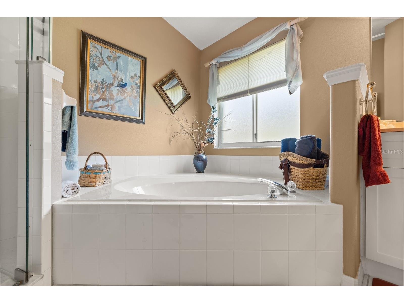 21127 Royal St Georges Lane Leesburg FL 34748 A4686807 image20