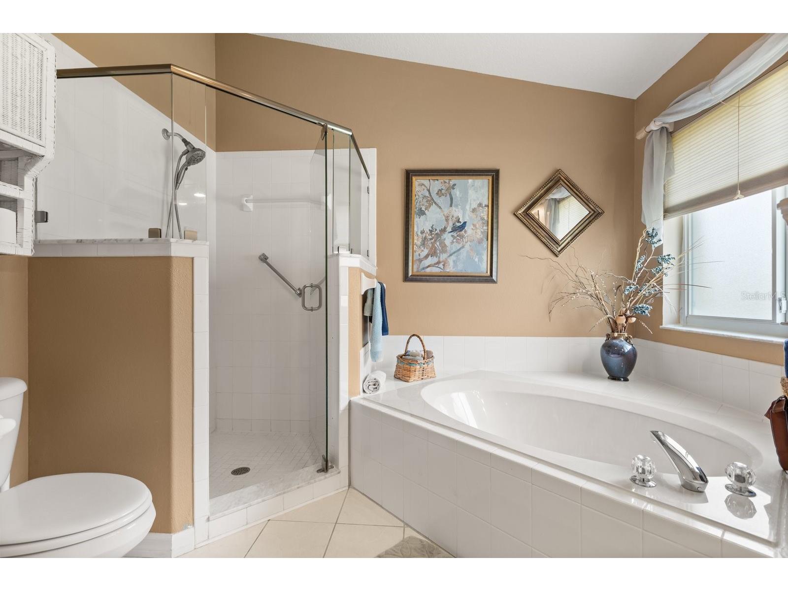 21127 Royal St Georges Lane Leesburg FL 34748 A4686807 image21