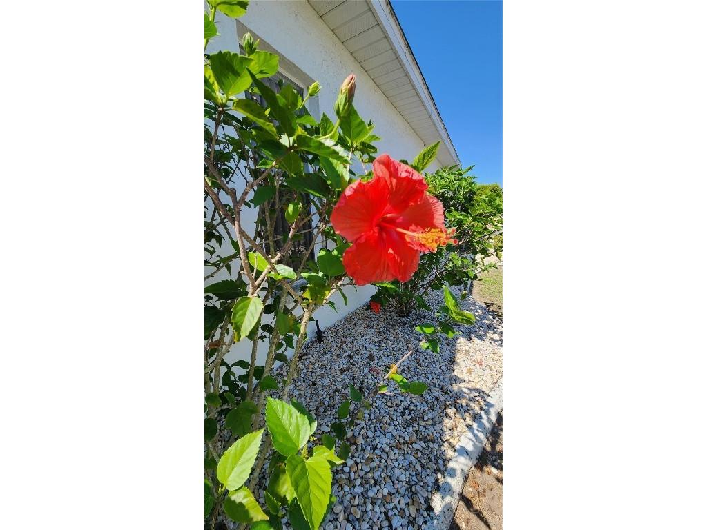 2113 E Del Webb Boulevard Sun City Center FL 33573 TB8372693 image48