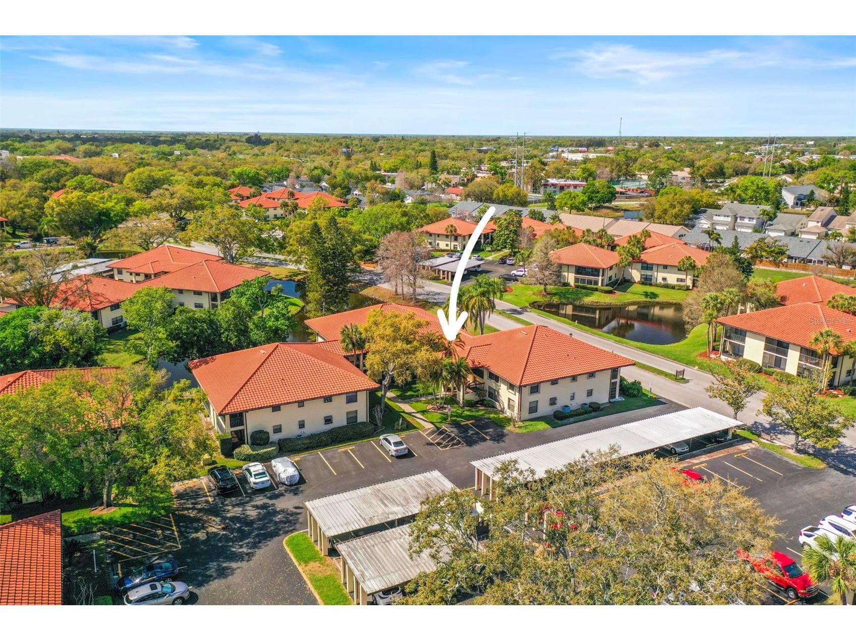 2113 Hammock Pine Boulevard #2113 Clearwater FL 33761 TB8485882 image29