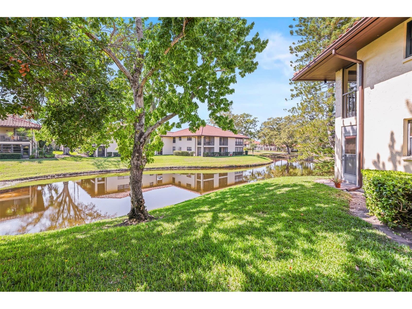 2113 Hammock Pine Boulevard #2113 Clearwater FL 33761 TB8485882 image36
