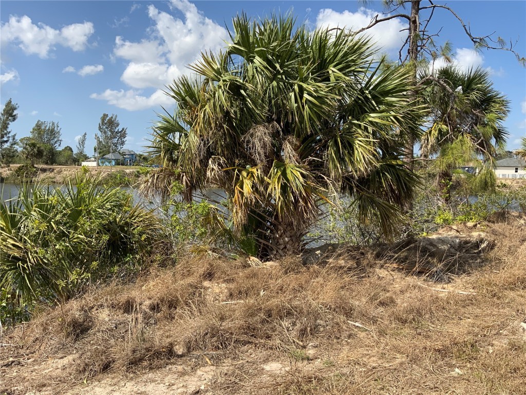 2113 NE 43rd Lane Cape Coral FL 33909 A4563492 image11