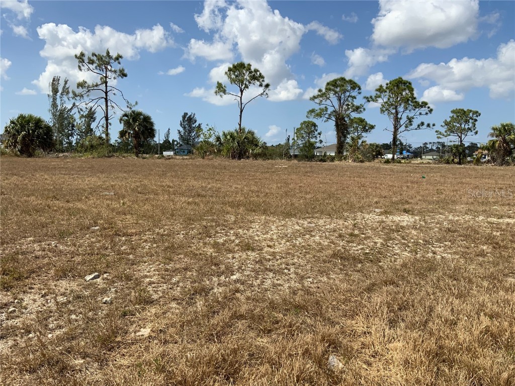 2113 NE 43rd Lane Cape Coral FL 33909 A4563492 image6