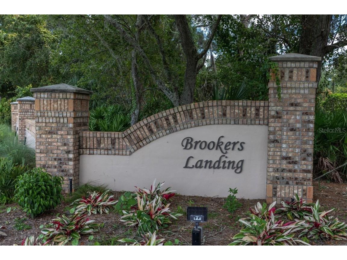 2113 Otter Way Palm Harbor FL 34685 W7854924 image1
