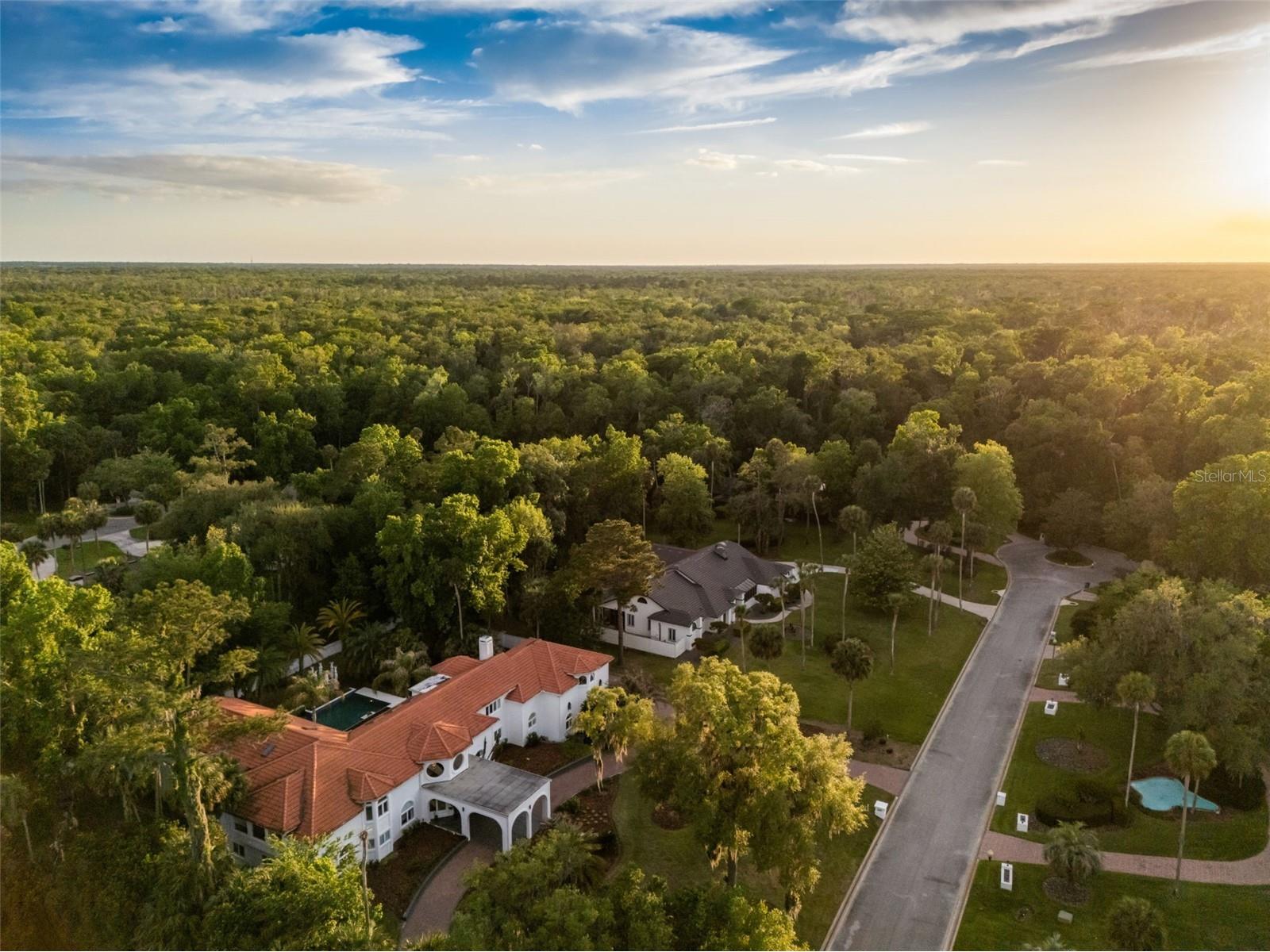 2113 Silver Leaf Court Longwood FL 32779 O6401270 image99