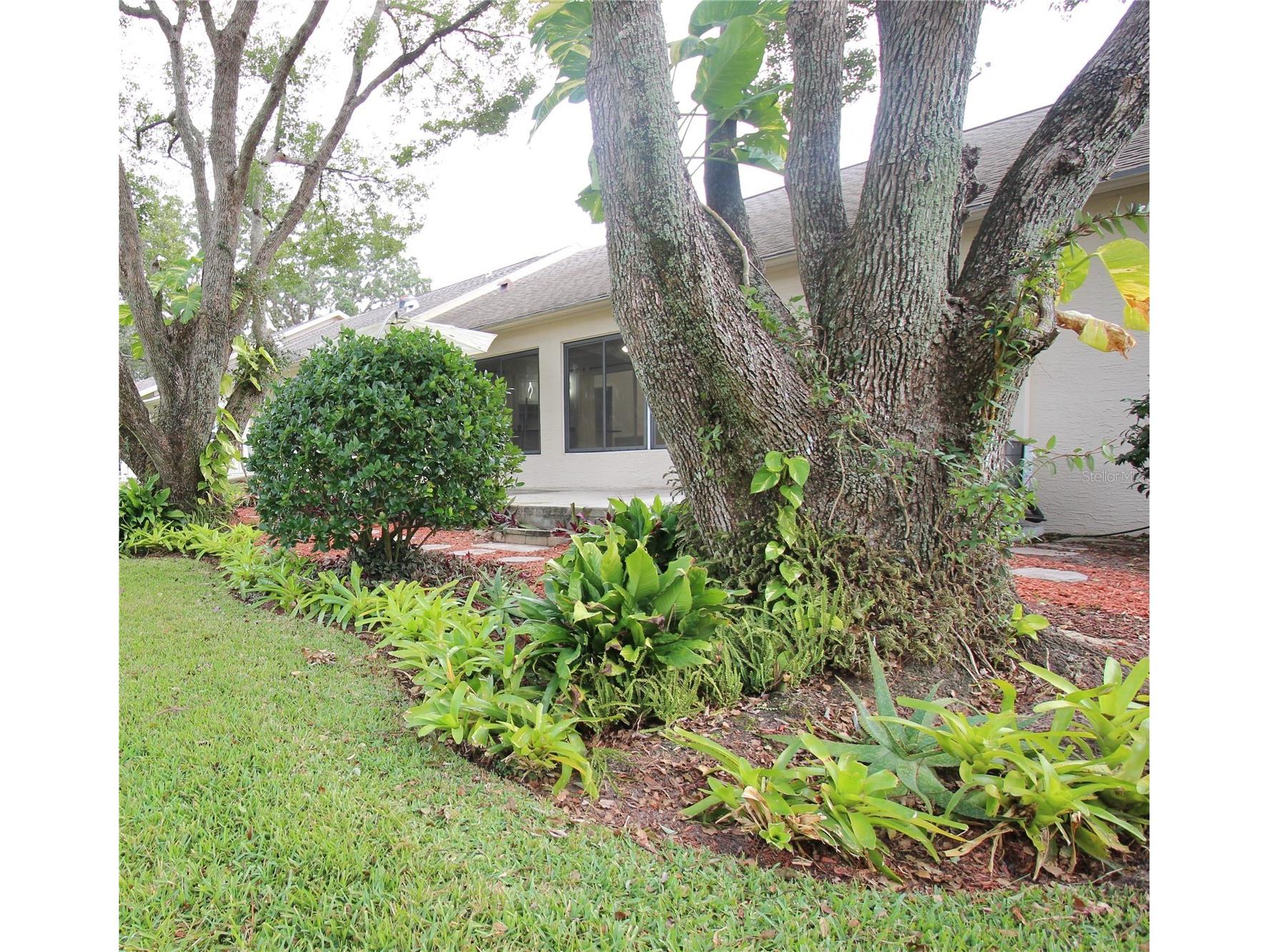 2113 Springmeadow Drive Spring Hill FL 34606 TB8456235 image44