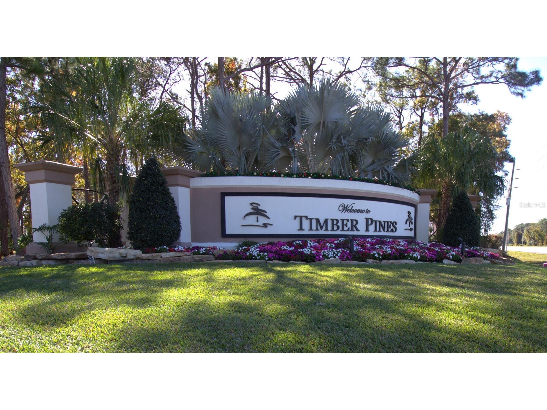 2113 Springmeadow Drive Spring Hill FL 34606 TB8456235 image46