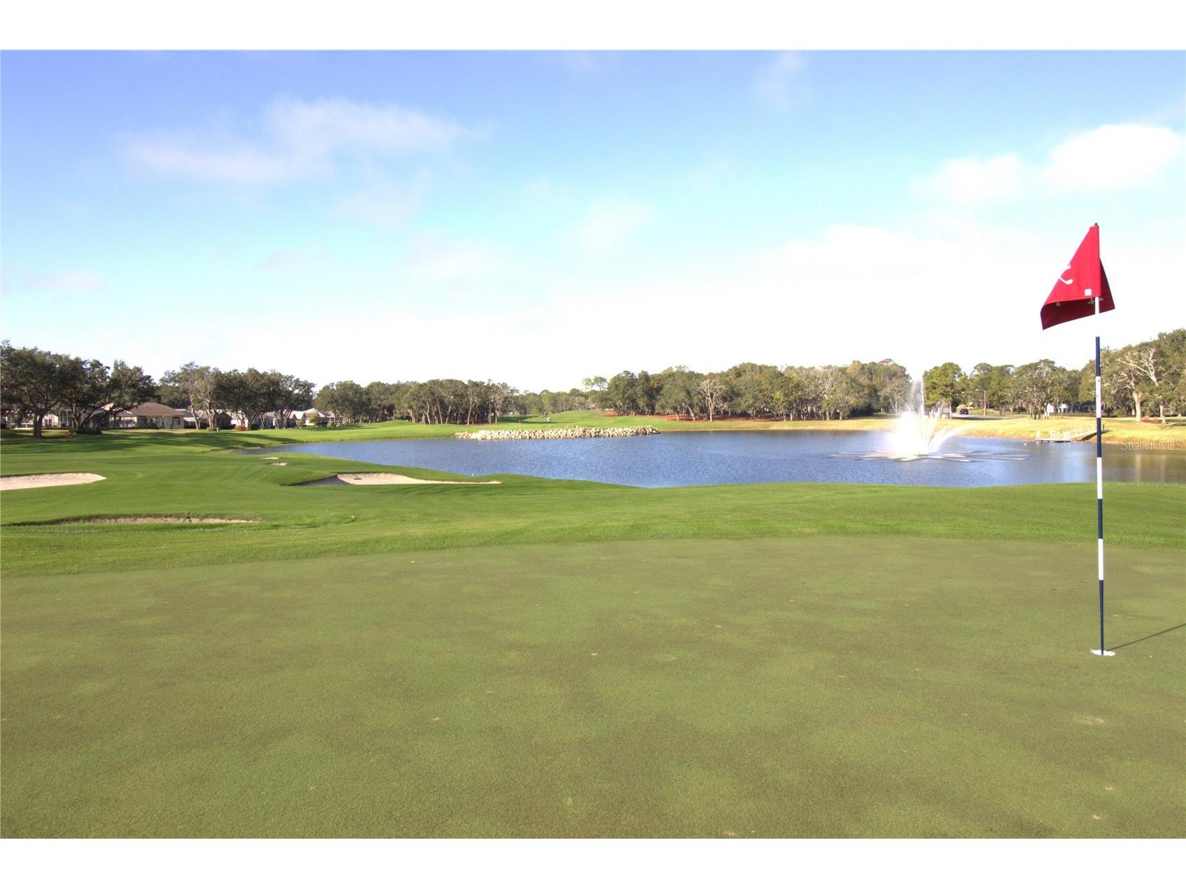 2113 Springmeadow Drive Spring Hill FL 34606 TB8456235 image49