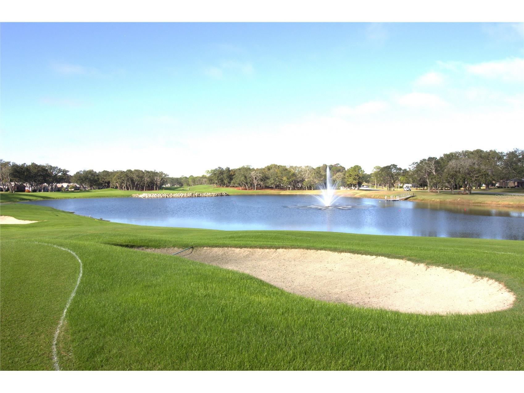 2113 Springmeadow Drive Spring Hill FL 34606 TB8456235 image50