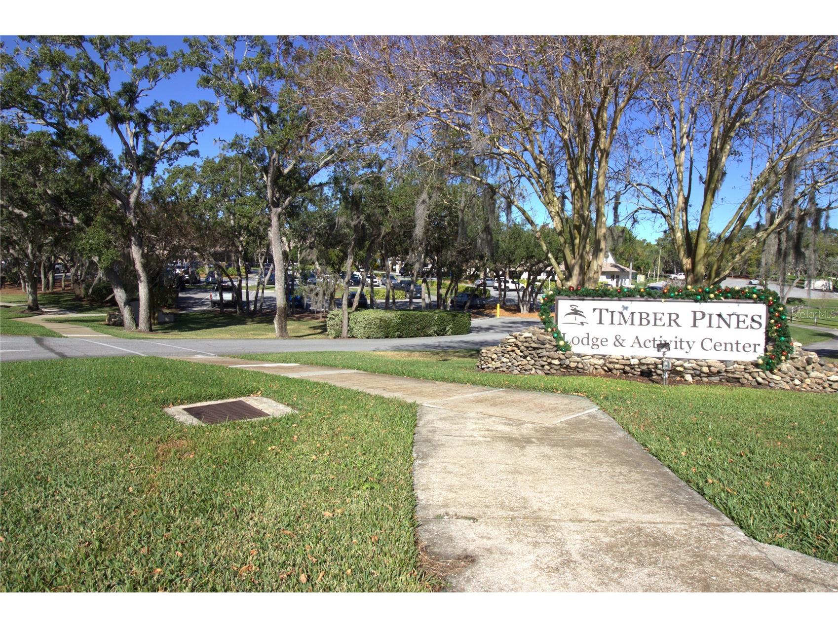 2113 Springmeadow Drive Spring Hill FL 34606 TB8456235 image58