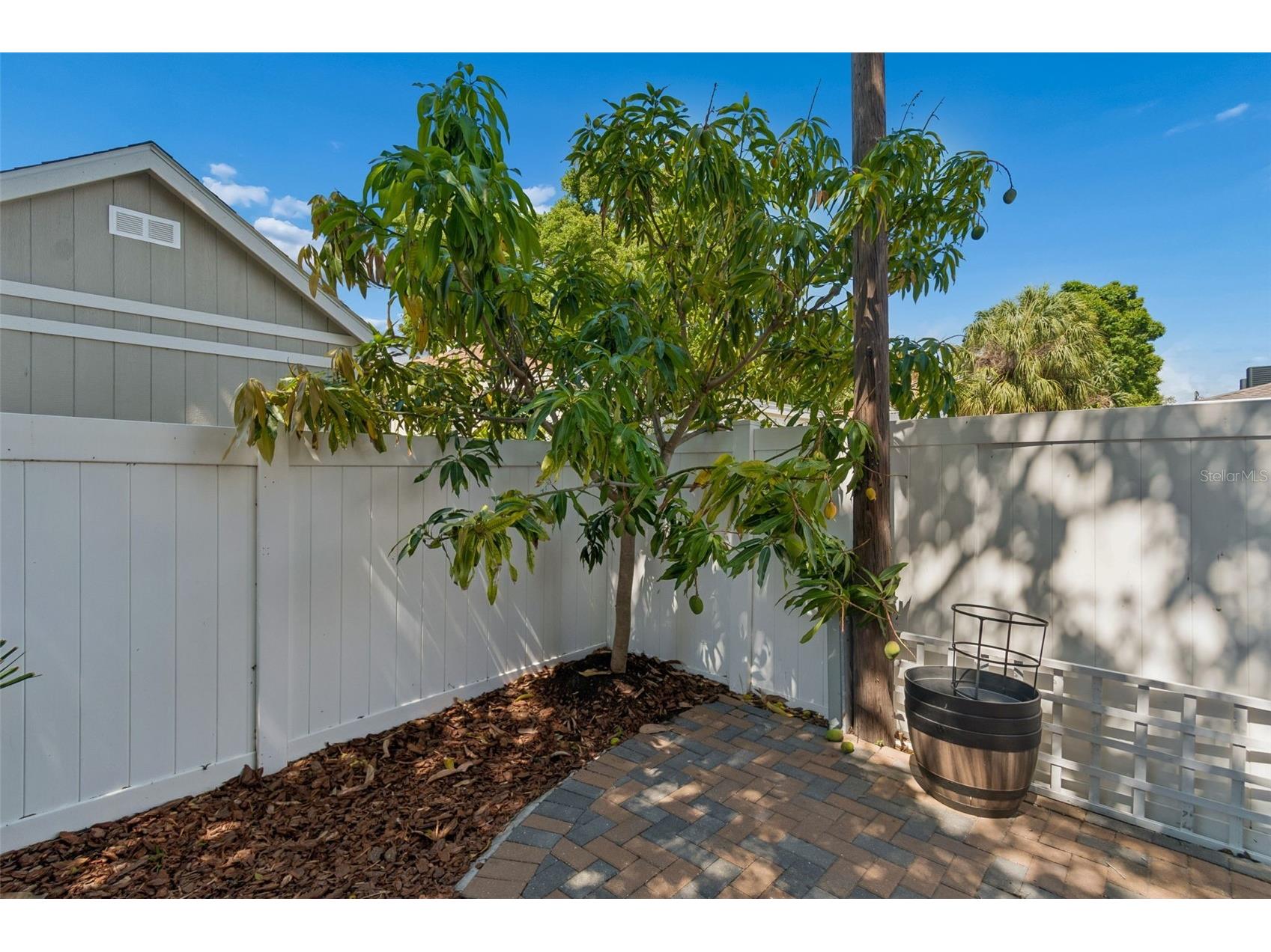 2113 W Cass Street #2 Tampa FL 33606 TB8506581 image61