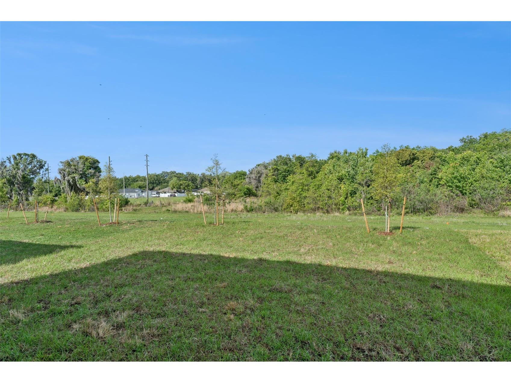 2113 Walnut Creek Drive Kissimmee FL 34744 O6396135 image29