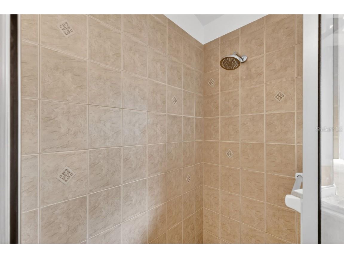 2113 Wolf Ridge Lane Mount Dora FL 32757 G5105043 image31